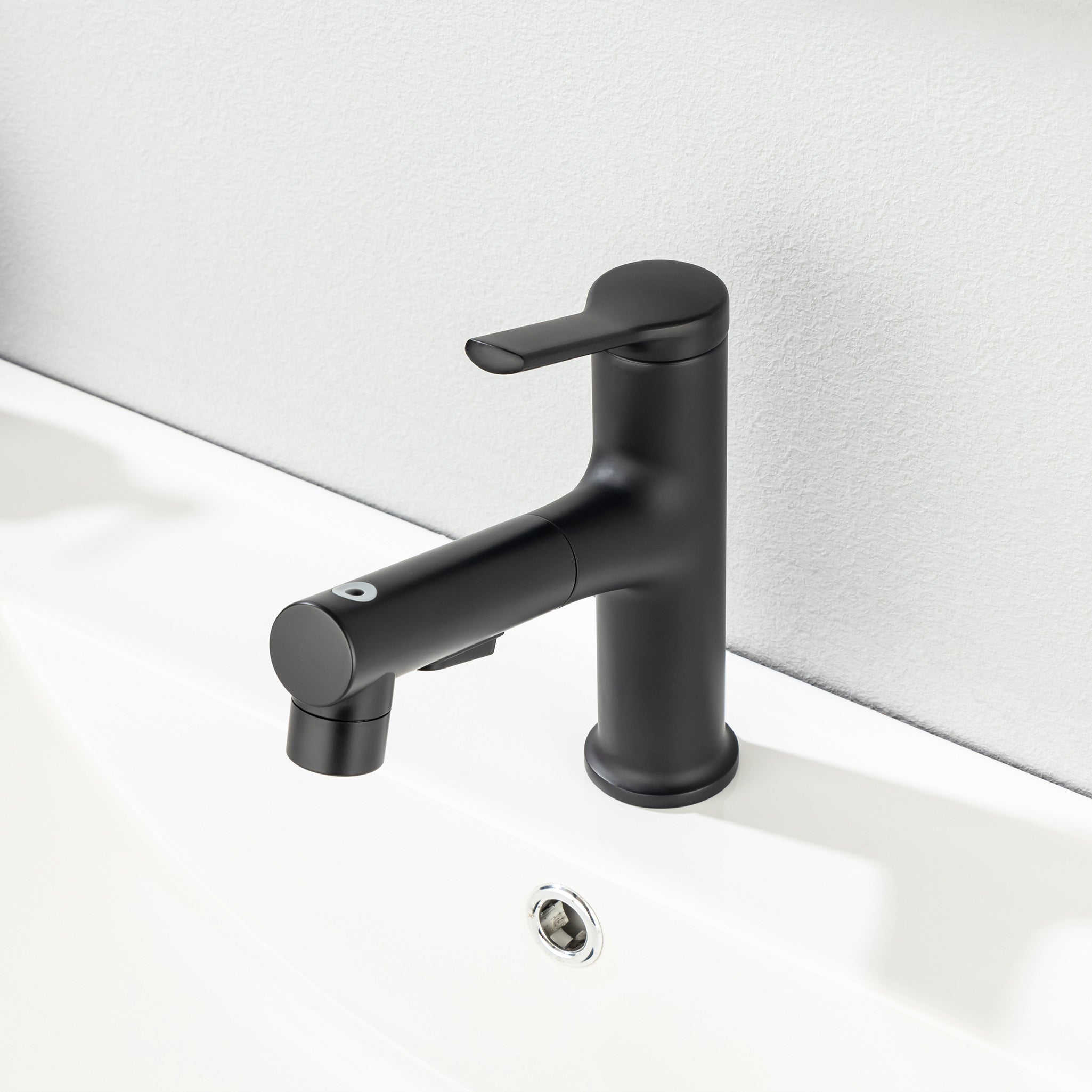 Single-Handle Pull-Out Bathroom Faucet RX5201