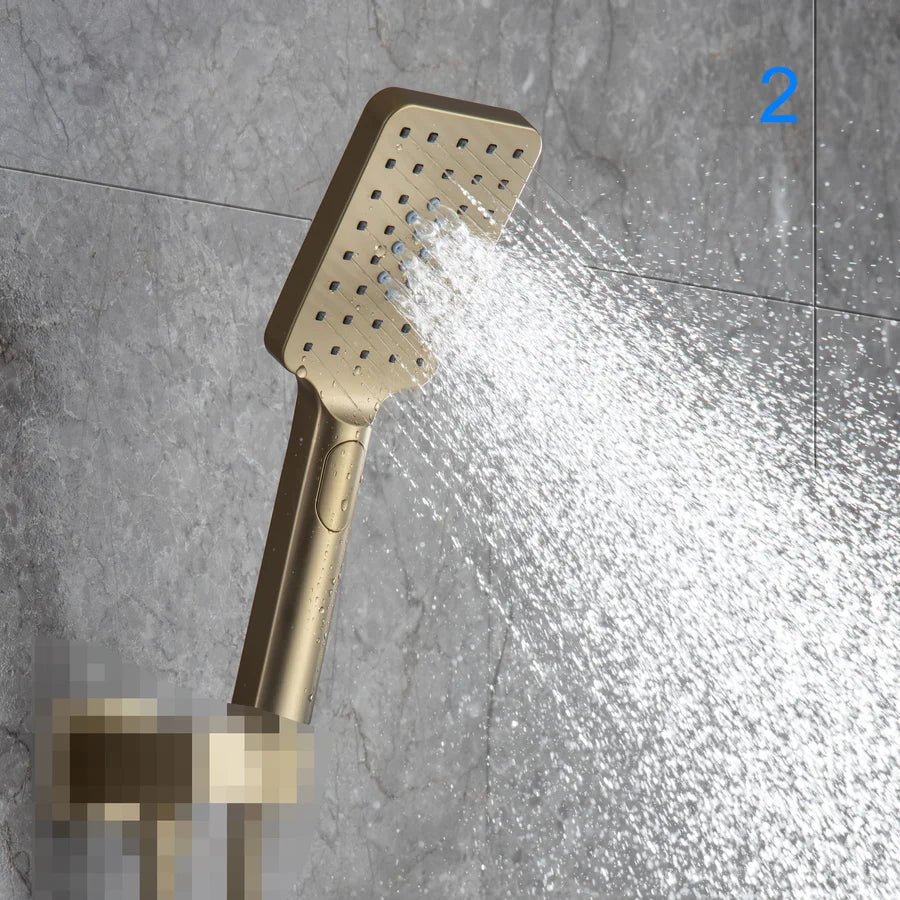 Multi Function Handheld Shower Head PJ008