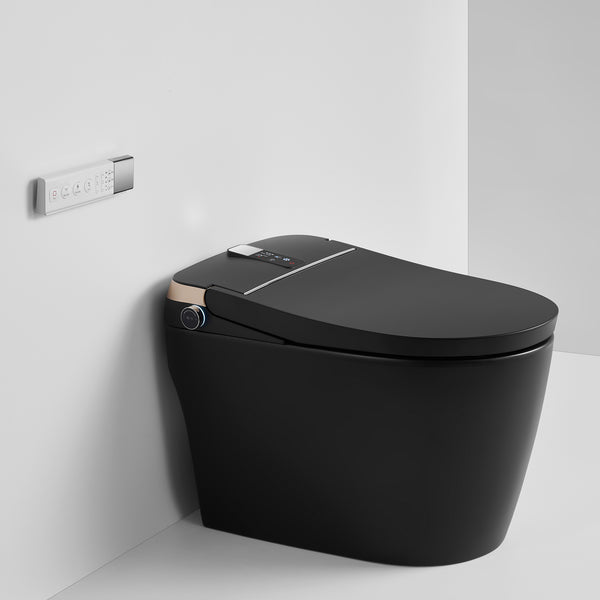 Smart Toilet with bidet built-in RX-T01MB