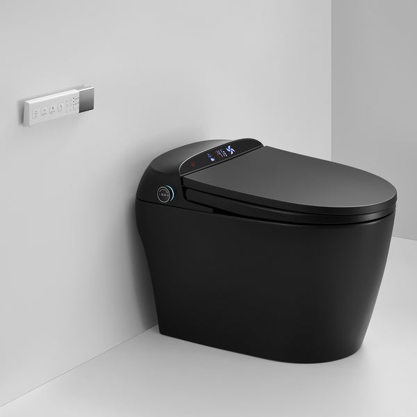 Smart Toilet with bidet built-in RX-T02MB