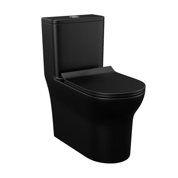 Toilette monobloc en noir mat RX-T03MB