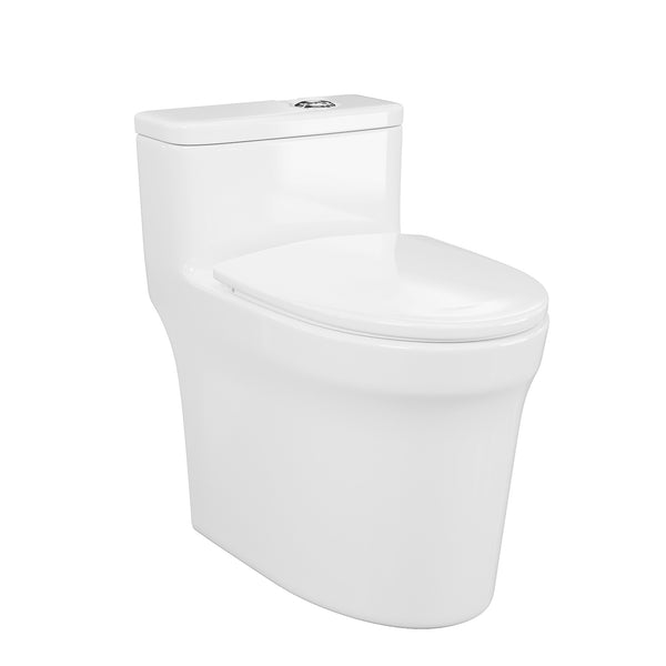 Toilette monobloc en blanc RX-T04W