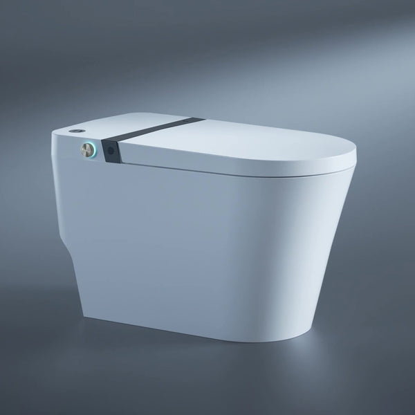 Smart Toilet with bidet built-in RX-T05W