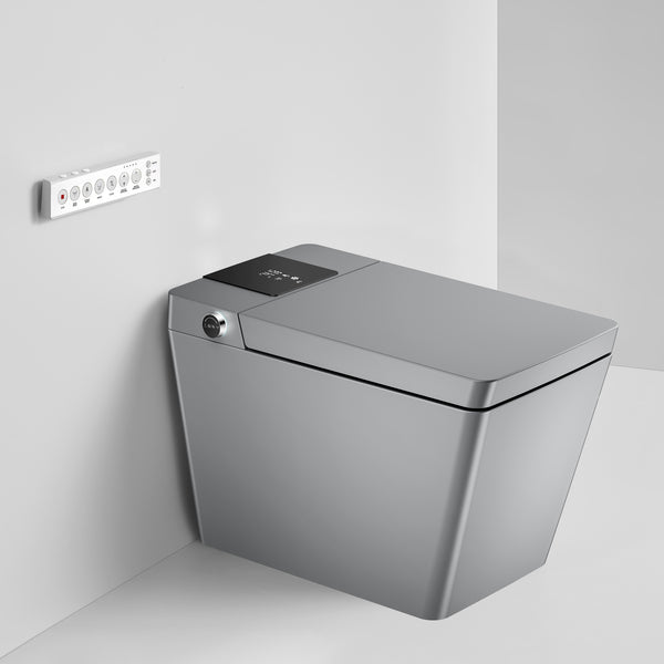 Smart Toilet with bidet built-in RX-T06MG