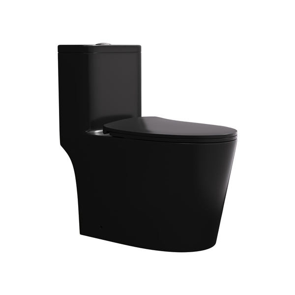 Toilette monobloc en noir mat RX-T09MB