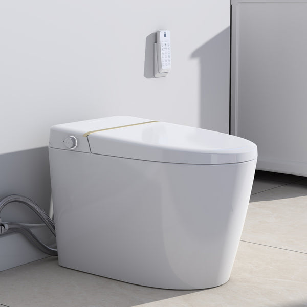 Smart Toilet with bidet built-in RX-T11W