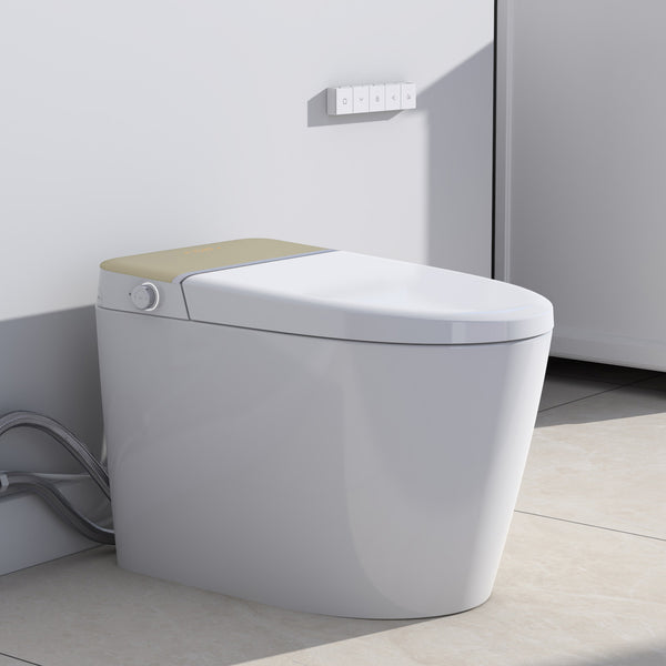 Smart Toilet with bidet built-in RX-T12W