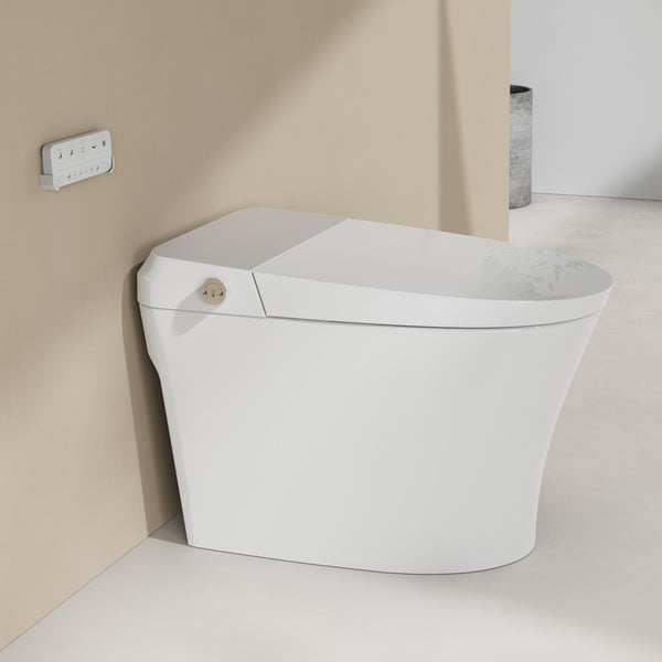 Toilettes intelligentes avec bidet intégré RX-T14W