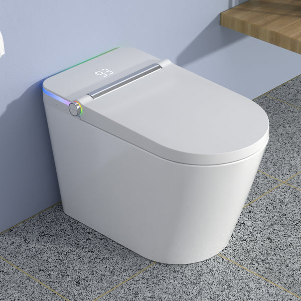 Smart Toilet with bidet built-in RX-T19W