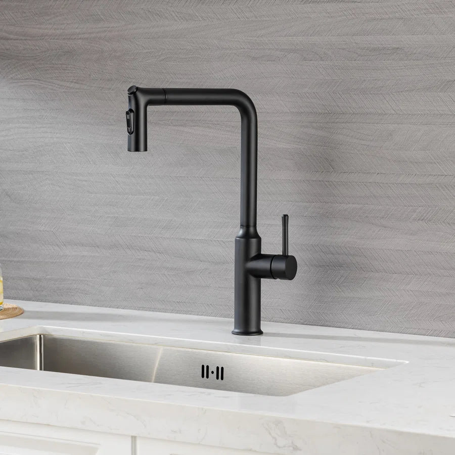 Pull-Down Single Handle Kitchen Faucet RX6013